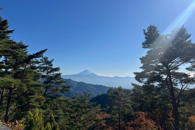 Day Trip Shosen Valley From Tokyo - Meeting and Pickup Logistics