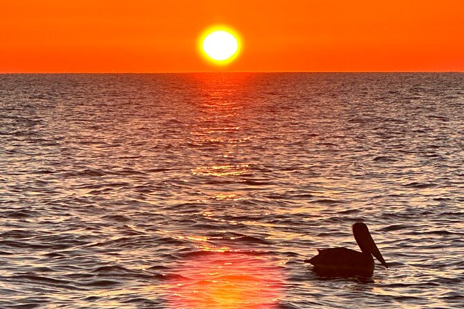 Daytona Beach: Sunrise Cruise on the Atlantic Ocean - Whats Included in the Cruise