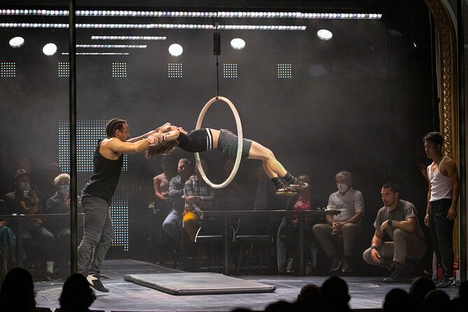 Dear San Francisco Aerial Extravaganza Show - Accessibility and Seating