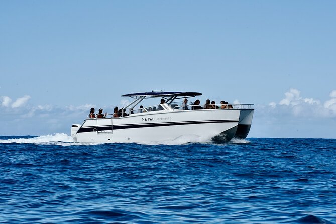 Deluxe Power Catamaran - Meeting and Pickup Information