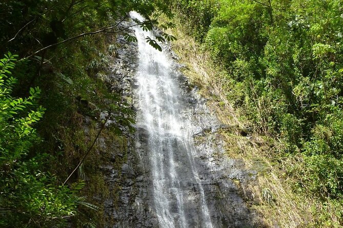 Diamond Head and Manoa Falls Hike and Adventure Tour - Highlights of the Diamond Head Hike