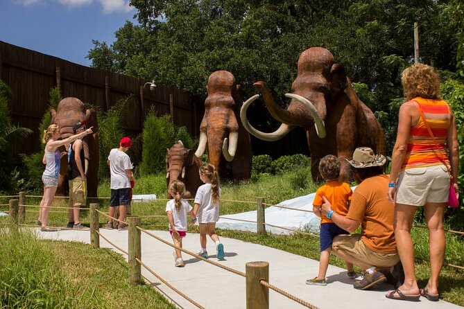 Dinosaur World Theme Park - Visitor Experience and Accessibility