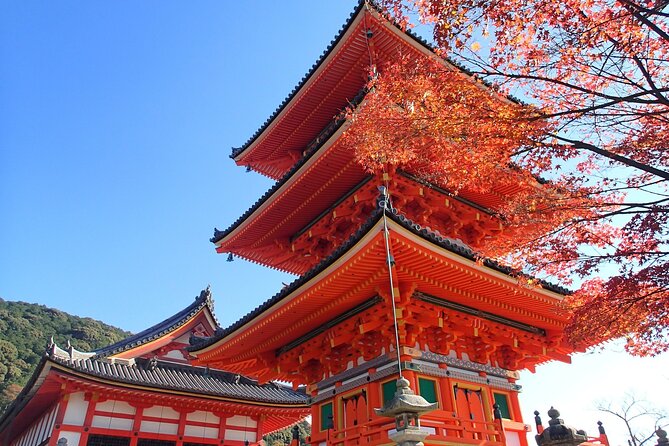 Discover Kyoto With a Customized Private Car Tour - Transportation Convenience