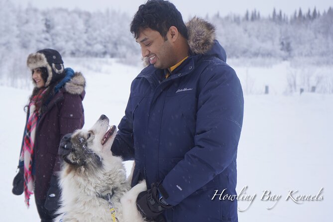 Dog Sled Adventure - Meeting Point and Logistics