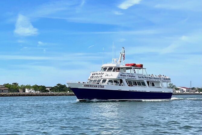 Dolphin and Bird Watching Ecotour Cruise - Pricing and Booking Information