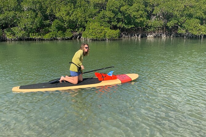 Dolphin and Manatee Adventure Tour of Naples With Florida History - Customer Reviews and Feedback