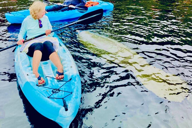 Dolphin, Manatee and Sea Turtle Kayak Adventure - Meeting and Pickup