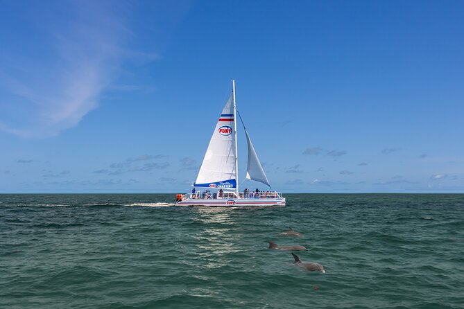 Dolphin Watch & Historical Harbor Tour in St. Augustine - Meeting and Pickup Location