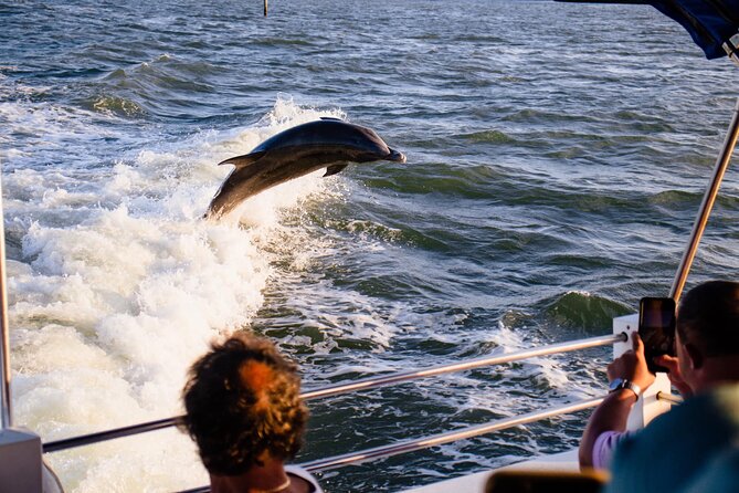 Dolphin Wildlife Cruise Fort Myers Beach - Duration and Capacity of the Cruise