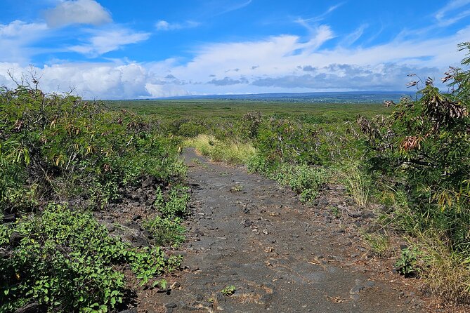 E-Mountain Bike Tour in South Point Hawaii - Health and Safety Guidelines