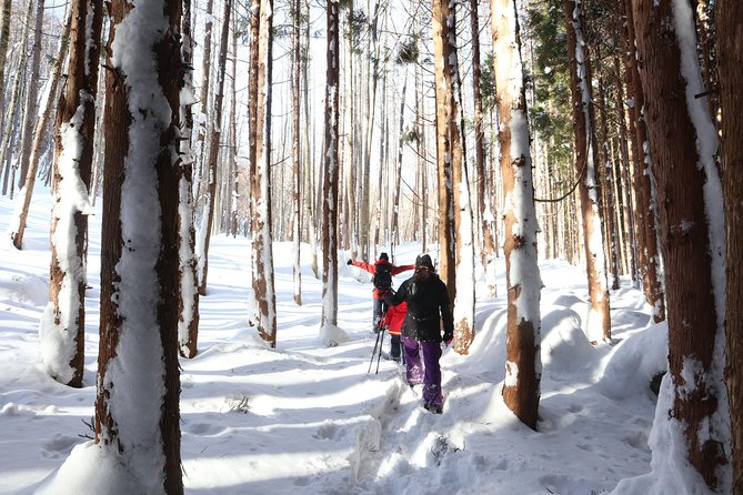 【5 Minutes From Water Ic】 Snow Trekking Half-Day Tour to Enjoy Japanese Snowscapes - Meeting and Pickup