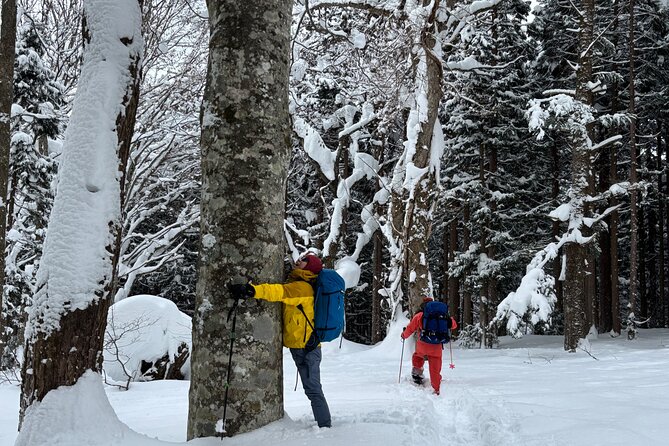 EN/CN Guided Snowshoeing and Snow Monkey Tour in Nagano - Inclusions
