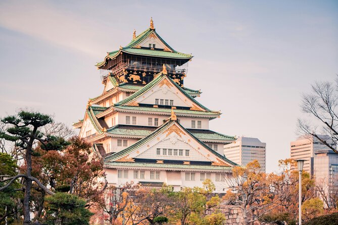 Enjoy Hot Spring Bath / Onsen and Sakura / Cherry Blossom View - Shinjuku Gyoen National Garden: A Tranquil Oasis