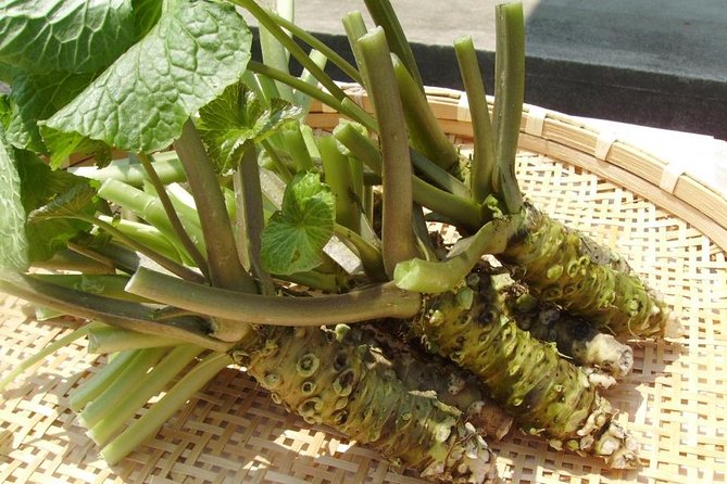Experience Making Okura Wasabi and Wasabi Soy Sauce - Wasabi Processing Experience