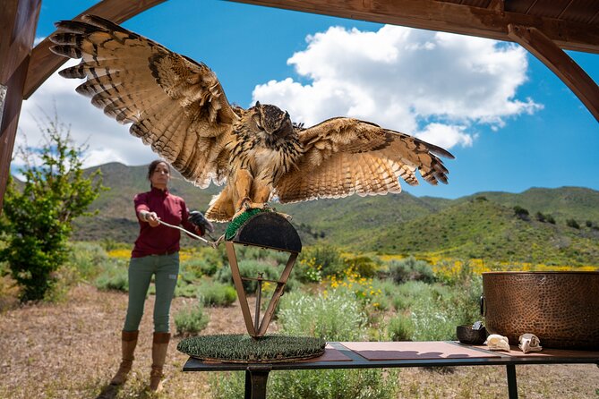 Experience Raptors and Falconry in Reno - Meeting Point and Directions