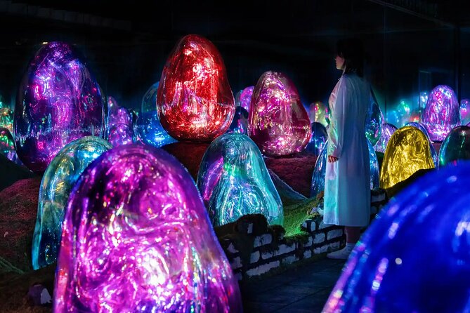 Experience TeamLab Planets in Tokyo - Admission Details