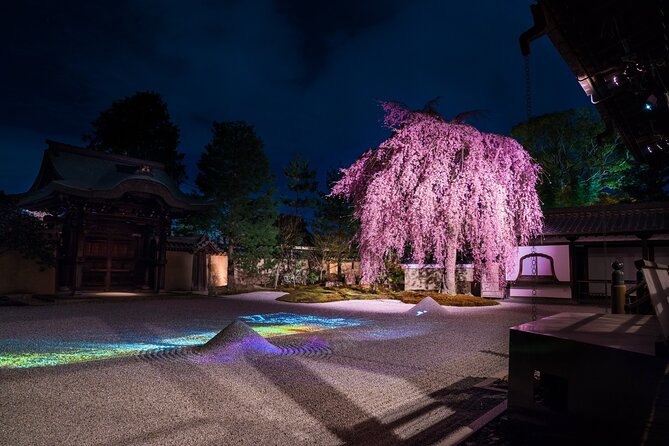 Explore Kyoto's 1,000-Year-Old Nighttime Cherry Blossoms! - Tour Participation Details: What You Need to Know