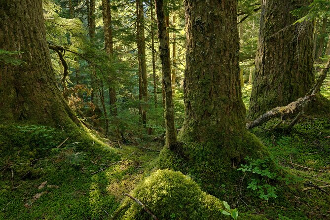Explore Snoqualmie, Waterfalls and an Ancient Forest - Schedule and Accessibility Information
