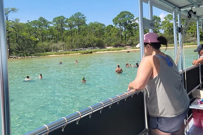 Family Friendly Snorkeling and Dolphin Tour - Meeting Point and Accessibility