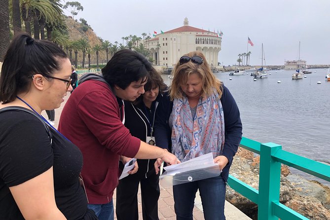 Fantastic Catalina Race - Accessibility Features