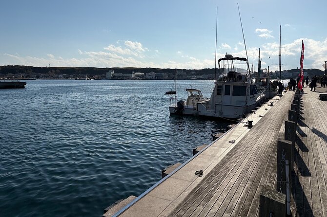 Farm to Table Excursion and Barbecue With a Fresh Seafood - Harvesting Vegetables and Herbs