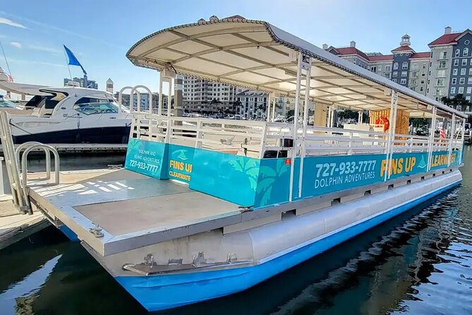 Fins Up - Dolphin & Island Sandbar Adventure in Clearwater Beach - Tour Inclusions