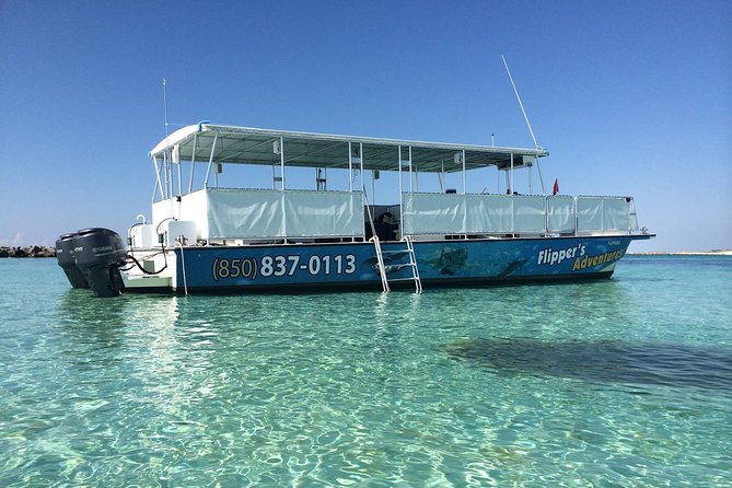 Flippers Adventures 2 Stop Snorkeling and Dolphin Cruise - Whats Included