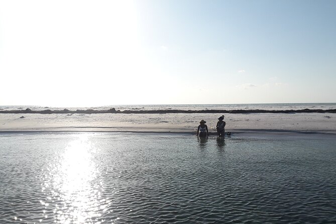 Floridas Beautiful Beaches and Waterways Private Tour - Adventure at Anclote Key Preserve