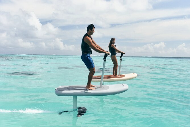 Fly Above Ocean Adventure in Sarasota! - Meeting Location and Starting Point
