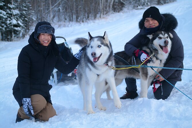 Free Pickup - Alaskan Husky Dog Sledding With Free Photo Service - Whats Included