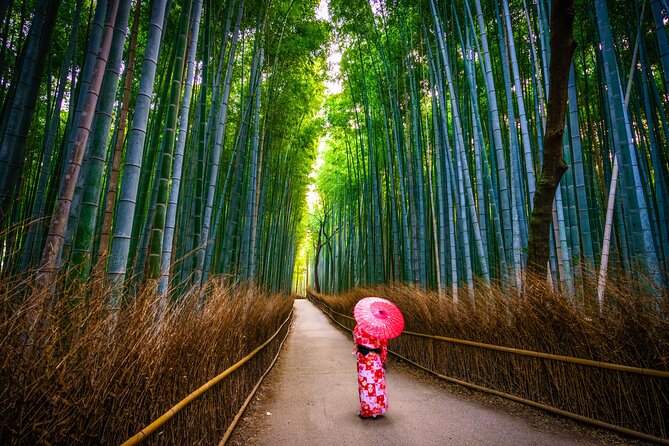 From Osaka or Kyoto: Full Day Sightseeing Tour of Kyoto - Pricing and Offers