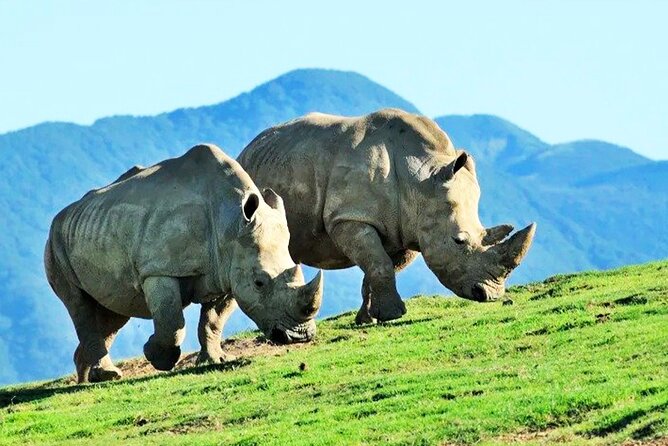 Fukuoka Day Trip to Yufuin, Beppu Hell Onsen and Animal Park - Inclusions and Pricing