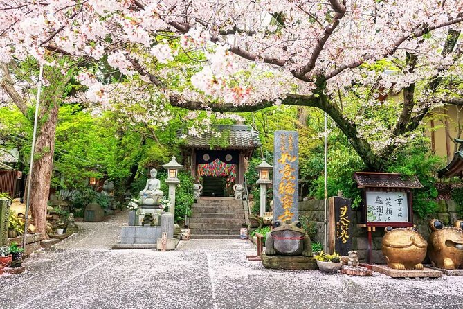 Fukuoka Kyushu Tour With Dazaifu, Nyoirin-Ji Temple and Yufuin - Dazaifu: The Seat of Heavenly Governance