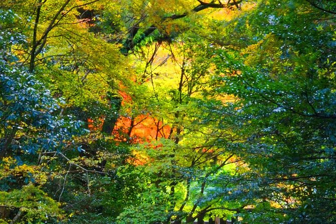 Fukuoka to Takachiho Shrine Tour With Optional Beef Lunch - Inclusions and Exclusions