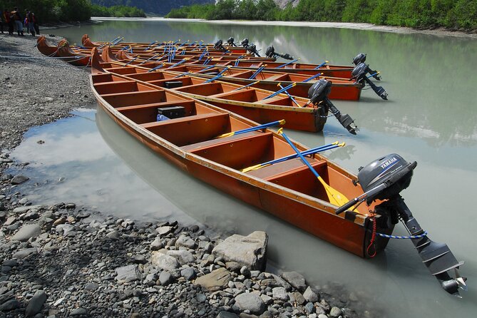 Full-Day Alaska Wildlife Voyageur Canoe Safari From Skagway - Wildlife Viewing Opportunities