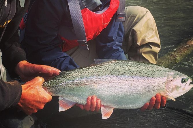 Full Day Fishing Trips - Scenic Views and Landscapes