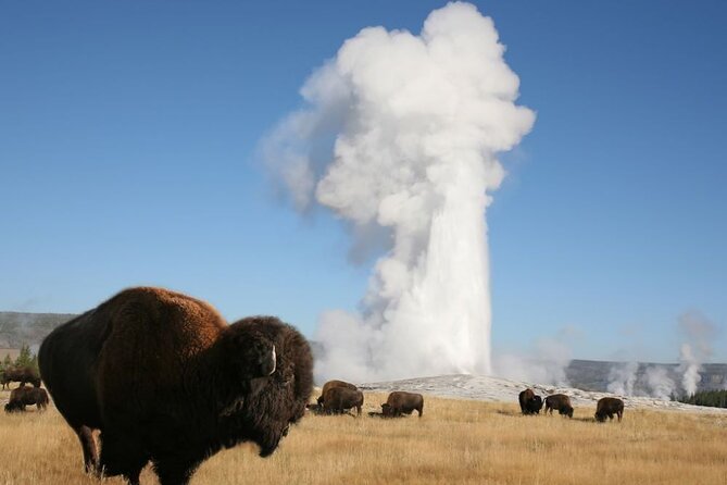 Full-Day Guided Yellowstone Day Tour - Inclusions and Logistics