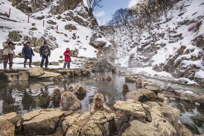 Full Day Nagano Tour Jigokudani Park And Zenkuji Temple - Pickup Information