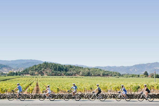 Full-Day Napa Valley E-Bike Tour With Picnic Lunch - Winery Visits and Wine-Tasting Experiences