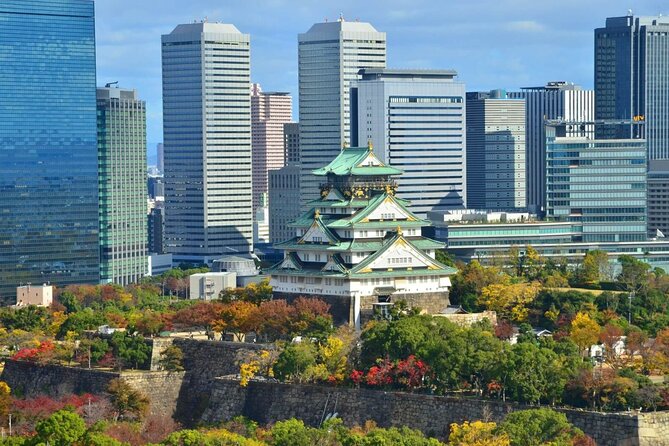 Full Day Private Walking Tour in Osaka - Inclusions