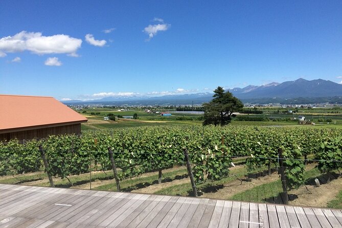 Furano, Biei & Blue Pond Full-Day Private Tour (Up to 21 Pax) - Tour Inclusions