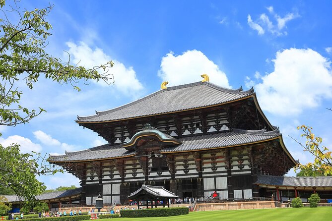 Fushimi Inari Shrine and Nara Park Day Tour From Osaka and Kyoto - Health and Safety Guidelines