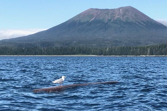 Ghosts of Historic Sitka - Walking Tour - Inclusions