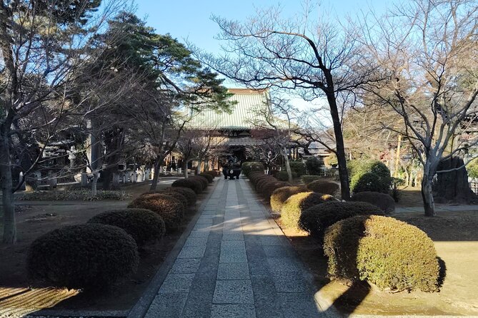 Gotokuji Temple Walking Tour With Numerous Cat Statues - Exploring the Maneki Neko Statues