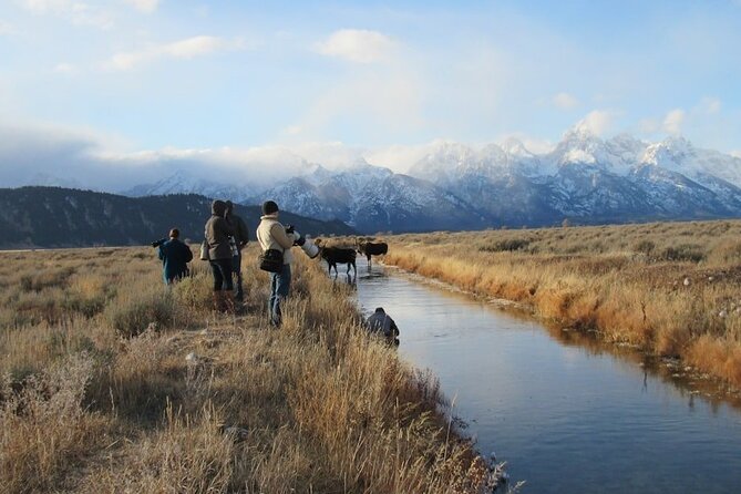 Grand Teton and Its Wildlife: Private Guided Tour - Wildlife Spotting in the National Park