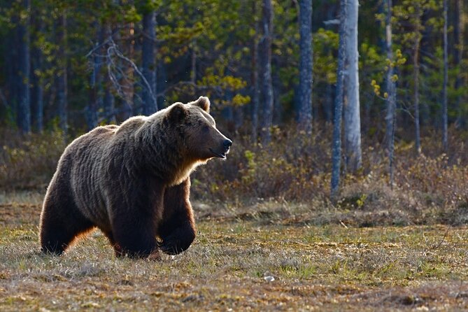 Grand Teton: Private Sunrise Tour - Pickup Information