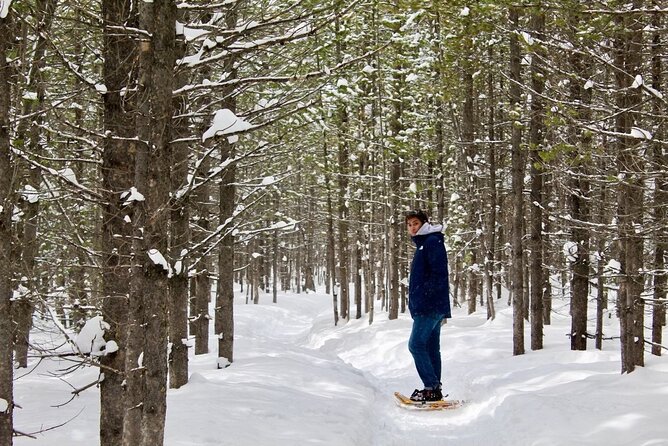 Grand Teton Private Winter Tour - Pickup Information