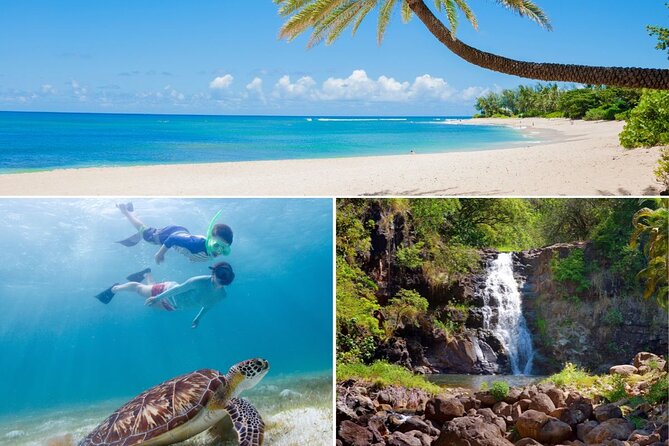 Grand Tour Around Oahu- Swim at Waterfall & Turtle Beach - Itinerary Highlights