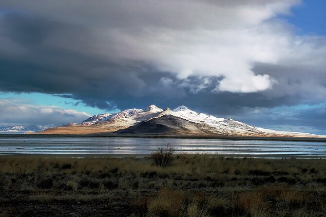 Great Salt Lake and Antelope Island Day Tour - Inclusions and Pricing