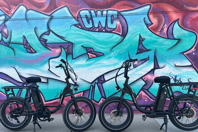 Guided Asheville E-bike Tour of River Arts, Mountains and Murals - Bicycle and Equipment